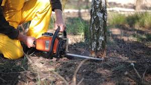 Lawn Grading and Leveling in Hughson, CA